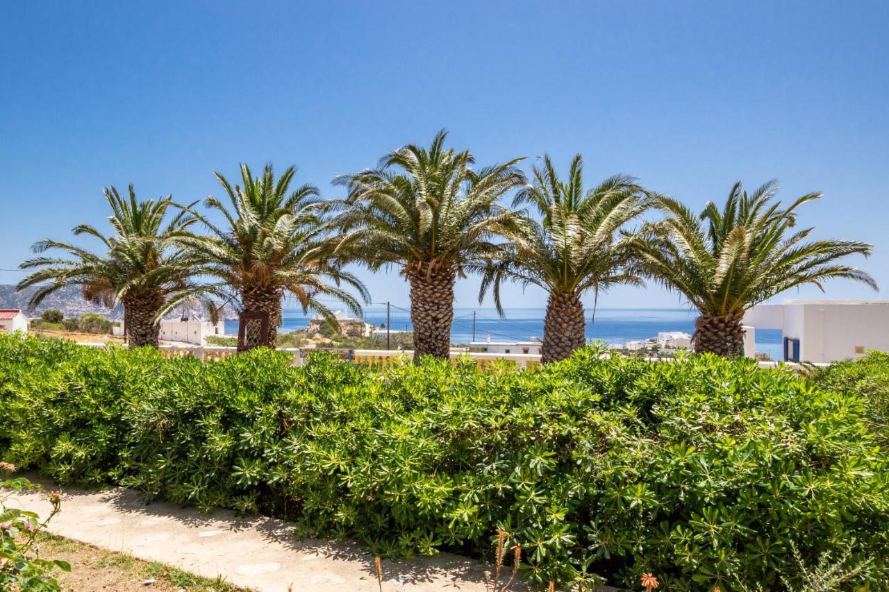 Maria Apartments Αμμοοπή Εξωτερικό φωτογραφία
